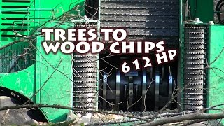 Transforming trees to wood chips with 612 HP in the Vosges [upl. by Pitt899]