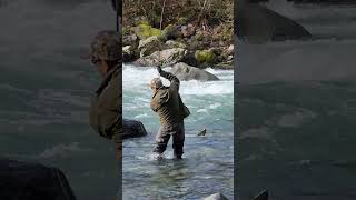 I caught a very dynamic salmon while fishingI ❤️ salmon fishing Vedder river Canada 🇨🇦 19 [upl. by Eldred]