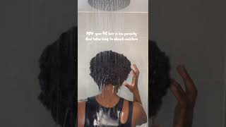 Low porosity 4C hair test takes long to absorb moisture short [upl. by Ahseirej270]