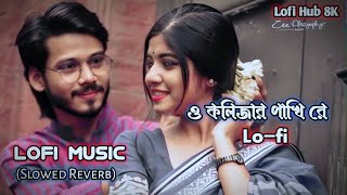 ও কলিজার পাখি রে ।। O Kolijar Pakhi Re Slowed Reverb Lofi Music 🎵🎵 ।। Tik Tok Trending Lofi [upl. by Connie877]