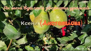 Як я зберіг урожай КсениЛистопадова [upl. by Aloz]