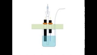 Voltammetric Electrodes [upl. by Ydna79]