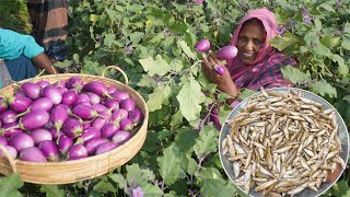 Small Fish Curry  Begun Diye Choto Mach Ranna  Flying Barb Fish Curry Brinjal Darkana Fish Recipe [upl. by Fiedler]