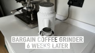 Coffee Grinder Bargain  T64S 6 Weeks Later [upl. by Einor]