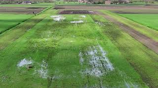 Weidevogels terug op Huyerenscheveld Geesteren [upl. by Dosh]