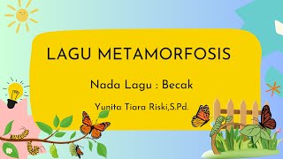 Lagu Metamorfosis Sempurna dan Tidak Sempurna [upl. by Mariellen]