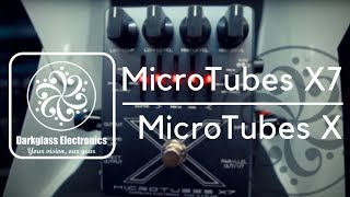 Darkglass Electronics MicroTubes X7X  OUR NEW FAVOURITES [upl. by Consuelo]