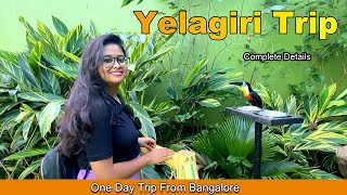 Yelagiri Hills  Yelagiri tourist places  Bangalore to Yelagiri road trip  Trip from Bangalore [upl. by Trey]