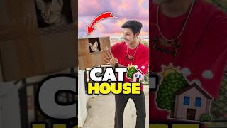 New House For My Cats 💀😀  Mini Vlog shorts minivlog ashortaday vlog tranding cat [upl. by Cyrillus28]