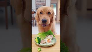 金毛的减脂瘦身餐A Diet Plan for Golden Retrievers to Lose Weight and Stay Fit pets goldenretriever [upl. by Talich149]