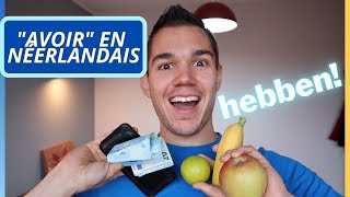 le verbe avoir en néerlandais 🇳🇱🇧🇪  hebben en néerlandais  cours de néerlandais gratuit [upl. by Aihselef]