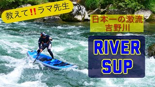 【日本一の激流 吉野川】教えてラマ先生！吉野川 リバーサップ チャレンジ Riversup sup スタンドアップパドル standuppaddle [upl. by Halland]