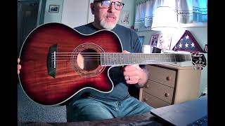 Washburn EA55GA Festival Series Acoustic Electric Guitar Review [upl. by Scevo]