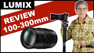 Lumix 100300mm II Lens Review [upl. by Kirenoj598]