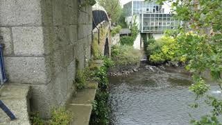 River Liffey at Island Bridge Dublin Ireland [upl. by Ainoyek]