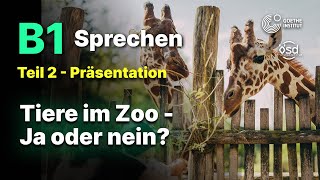 Tiere im Zoo Ja oder nein  Sprechen Teil 2 B1 Zertifikat  Goethe amp ÖSD [upl. by Eicaj]