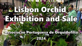 Lisbon Orchid Show and Sale  APO 2024 [upl. by Aisayt]