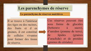 Les différents types des tissus végétaux les tissus primaires 2 [upl. by Kaia]