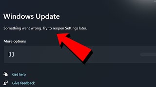 Fix Something Went Wrong Try to Reopen Settings Later in Windows Update Error Windows 1110 NEW 2024 [upl. by Ardnahcal43]