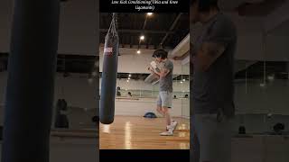 Low Kick ConditioningTibia and Knee Ligaments [upl. by Abehshtab265]