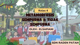 METAMORFOSIS SEMPURNA DAN TIDAK SEMPURNA PADA HEWAN KURIKULUM 2013 [upl. by Inamik]