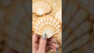 Hand painted seashell cookies decorated with royal icing and edible paint yourart [upl. by Gertrude135]