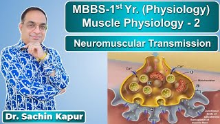 MBBS  First Year  Muscle Physiology  Neuromuscular Transmission  Dr Sachin Kapur  AIIMS [upl. by Ahsienet360]