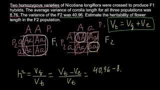 How to calculate heritability [upl. by Iniffit]