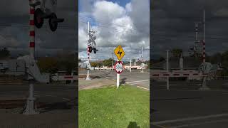 Coming Soon Lethbridge Street Level Crossing Feilding [upl. by Stark]