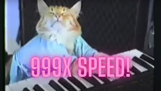 Keyboard Cat Sped Up Version 125102050100999x speed [upl. by Michey]