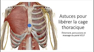 astuce libérer la cage thoracique et mieux respirer [upl. by Licht307]