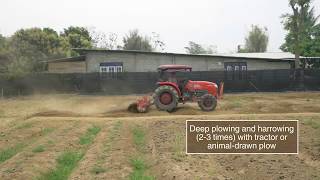 Land preparation for farming [upl. by Rahmann]