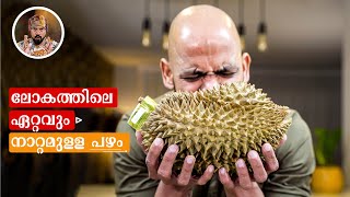 DURIAN FRUIT EATINGMOST STINKY FRUITHOW DURIAN SMOOTHIEPROTEIN SMOOTHIEHOW TO MAKE DURIAN SHAKE [upl. by Yelyk]