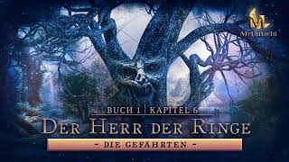 Der Herr der Ringe Die Gefährten  Buch 1 Kapitel 6  Hörbuch  Zusammenfassung [upl. by Pisarik]