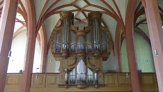 Bechtolsheim Simultankirche Glocken amp StummOrgel [upl. by Franz]