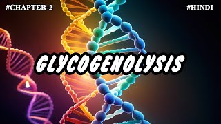 Chapter 2  Metabolism Of Carbohydrates Part7  Glycogenolysis [upl. by Heurlin]