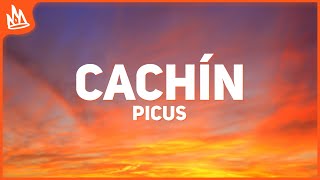 Picus Octavio Cuadras – Cachín Letra [upl. by Abdu]