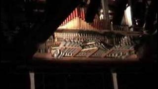 Moussorgsky Pictures Denis Fedorov Theater Organ [upl. by Nnylrahc]