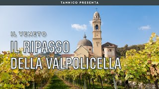 I segreti del Ripasso della Valpolicella  Tannico Flying School [upl. by Attenrad198]