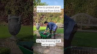 Head gardener from Sissinghurst has a trick to protect your grass seed lawn grass gardener [upl. by Angle]