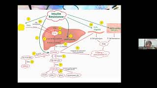 Dislipemia y diabetes A 1 de 3 [upl. by Atiuqat131]