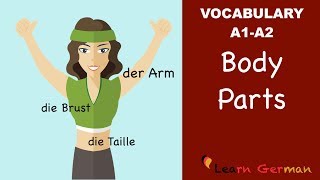 Learn German  German Vocabulary  die Körperteile  Body parts  der Körper  A1 [upl. by Lianna]