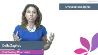 Emotional Intelligence Daniel Goleman [upl. by Snashall]