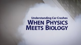 Understanding Car Crashes When Physics Meets Biology [upl. by Llaccm]