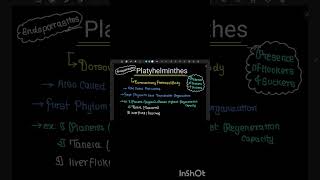 revise phylum platyhelminthes in 56 seconds [upl. by Iveson]