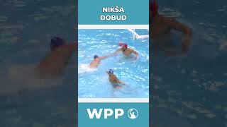 Epic Water Polo Goals by Niksa Dobud shorts waterpolo vaterpolo pallanuoto vizilabda sport [upl. by Etessil]