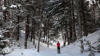 Cross Country Skiing  A Pure Michigan Winter [upl. by Hgiel]