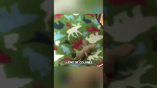 Finalmente la gata comprendió cuánto la amaban ❤️ shorts [upl. by Elmaleh167]