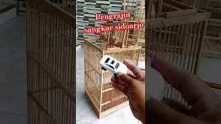 Sangkar unik bikin semua burung terpengrangkap [upl. by Base123]