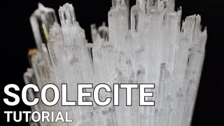 Scolecite Tutorial [upl. by Drofiar]